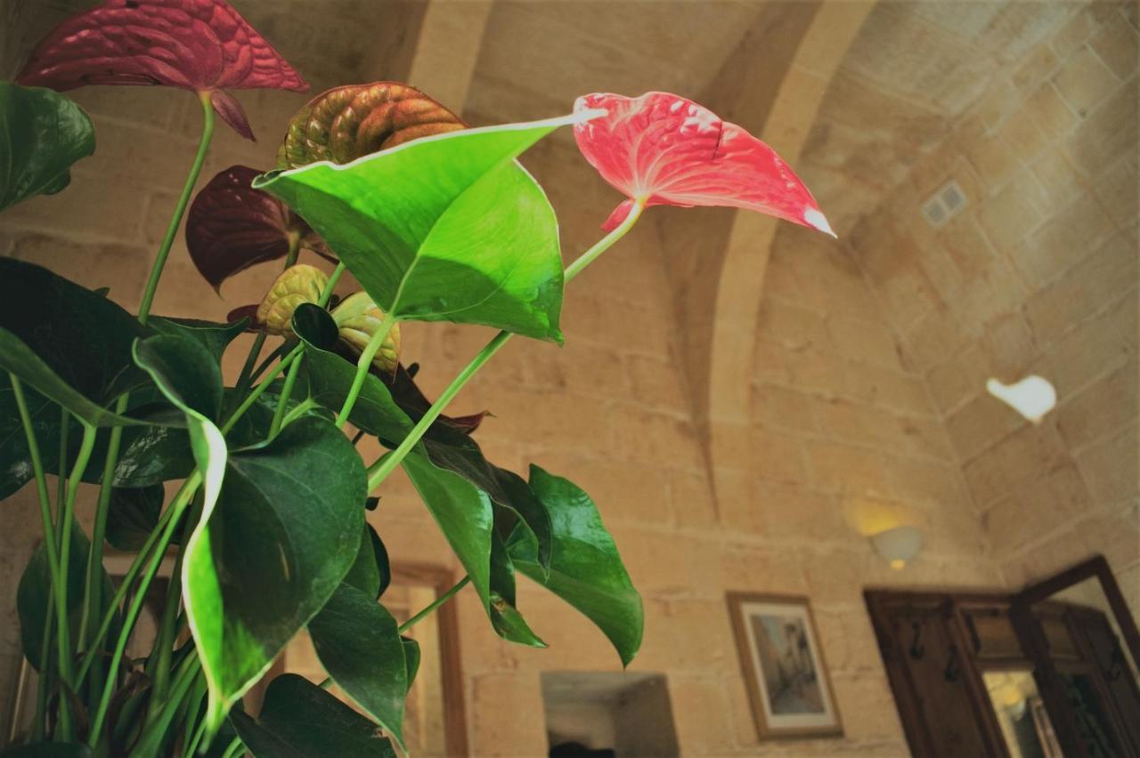 Encanto Vegetarian Bed & Breakfast Bed & Breakfast ซากฮรา ภายนอก รูปภาพ